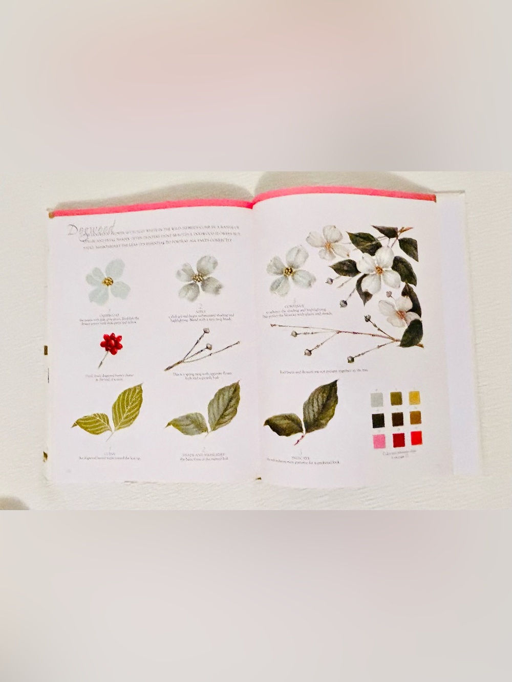 Watercolor Painting Nature by - Peggy Harris Simple Picture Guide. - Picture 6 of 7